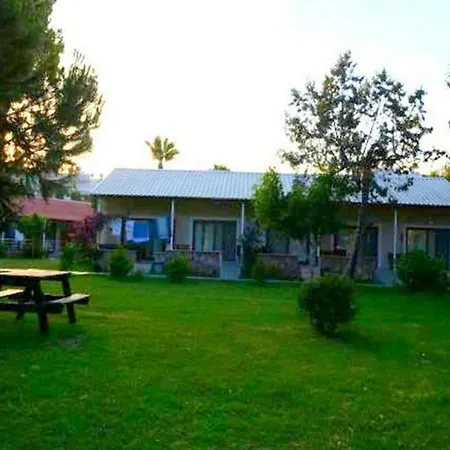 Aslihan Anamur