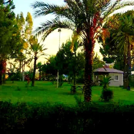 Aslihan *